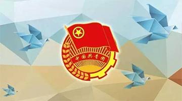 pg电子游戏团委简介