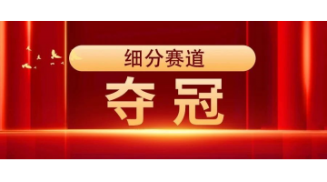 夺冠 | pg电子游戏获评“2023年广西造作业单项冠军示范企业”