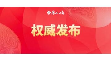陈刚：标本兼治疏堵结合纵深推动排查整治，推动有色金属出格是关键金属产业高质量发展